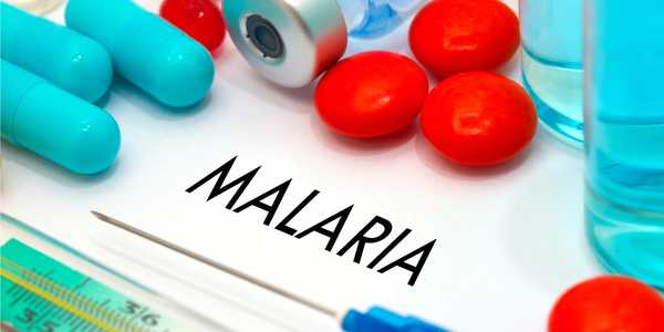 Investigational Malaria Vaccine Protects Healthy U.S. Adults For More Than One Year